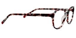 Adamson Oval Tortoise/Clear Glasses4