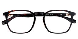 Agnes Tortoise Glasses1