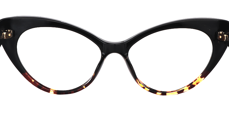 Cat Eye Tortoise Glasses4