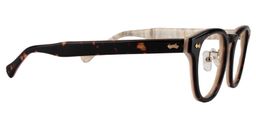 Calder Round Tortoise Glasses4