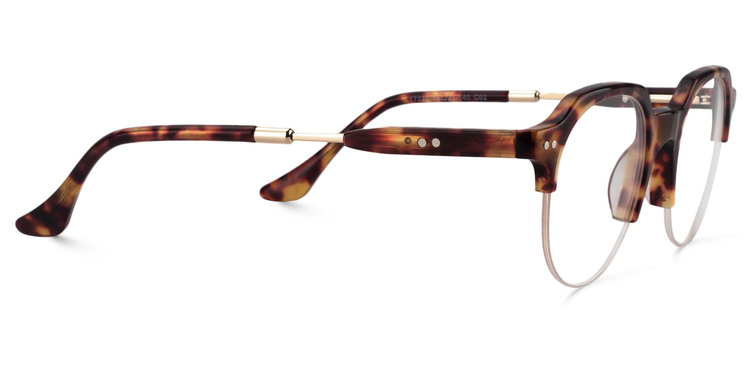 Round Tortoise Glasses | Zeelool Glasses4