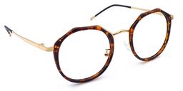 Claudia Geometric Glasses5