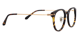 Ismael Round Tortoise Glasses4