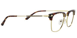 Randy Browline Tortoise Glasses4