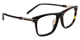 Slater Rectangle Tortoise Glasses3