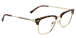 Randy Browline Tortoise Glasses3