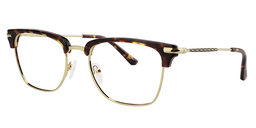 Randy Browline Tortoise Glasses2