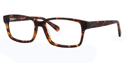  Tara Rectangle Tortoise Glasses 2