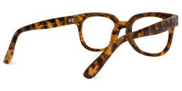 Beckwith Square Tortoise Glasses3