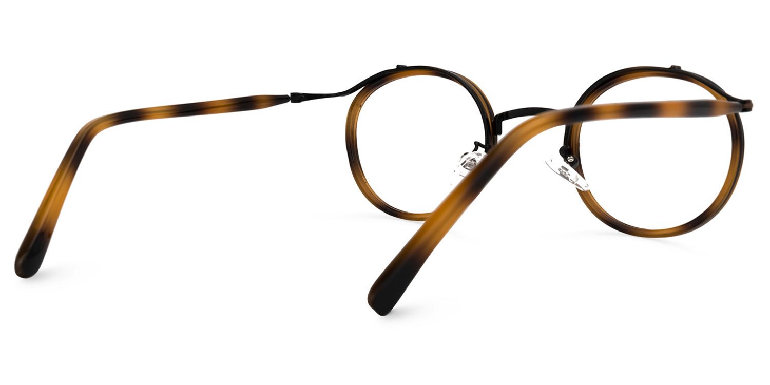 Buy Camargo Optical Glasses and EyeWear Frames on Zeelool3