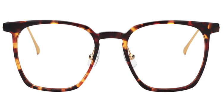 Vincent Rectangle Gold-Tortoise Glasses