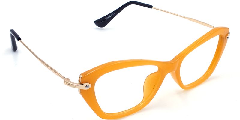 Mary Cute Cat Eye Glasses3