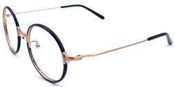  Paris Hilton Round Eyeglasses2