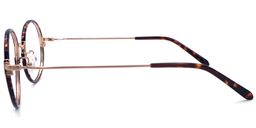  Paris Hilton Round Tortoise Eyeglasses4