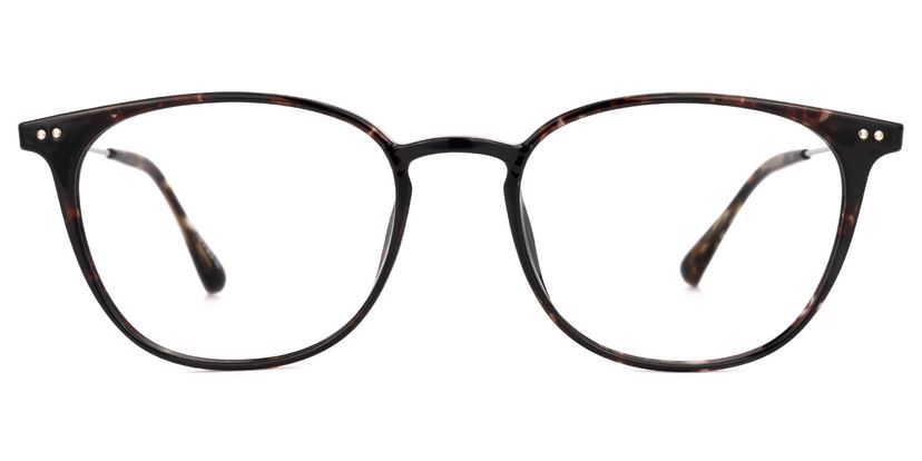 Vilanova Round Tortoise Glasses