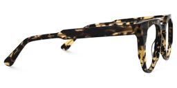 Jenkins Geometric Tortoise Glasses2
