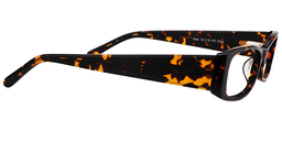 Tammy Rectangle Gold-Tortoise Glasses4