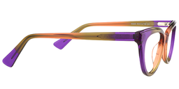 Elaine Cat Eye Purple Glasses4