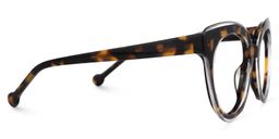 Brewster Round Tortoise Glasses2