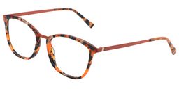 Adelaide Rectangle Tortoise Glasses3
