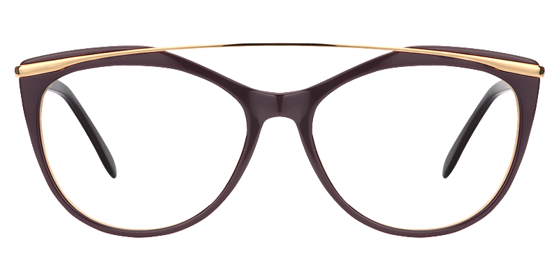 Norma Aviator Deep Purple Glasses