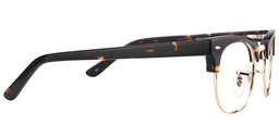 Scott Browline Gold-Tortoise Glasses4