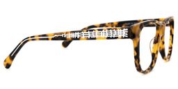 Tashe Square Tortoise Glasses2