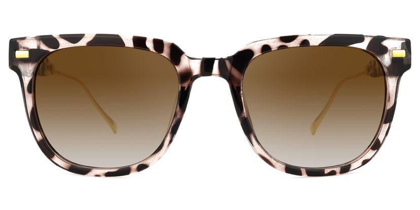 Hoskins Square Tortoise Sunglasses