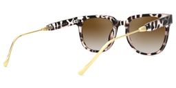 Hoskins Square Tortoise Sunglasses3