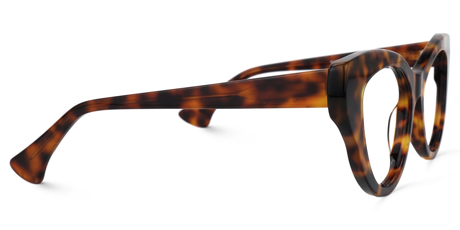 Buy Cazeau  Optical Glasses and EyeWear Frames on Zeelool2