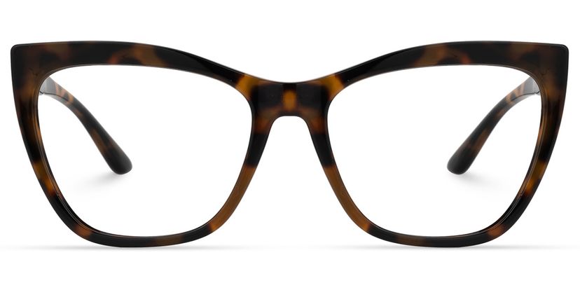 Ashton Cateye Tortoise Glasses