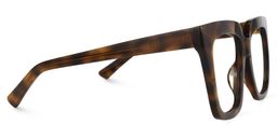 Leachon Square Tortoise Glasses2