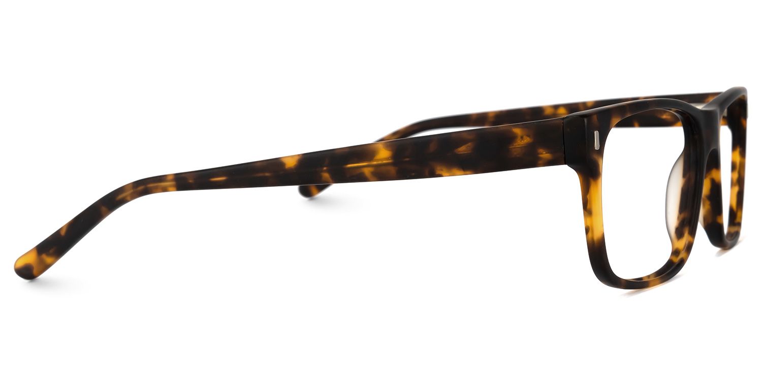 Buy Cintron Optical Glasses and EyeWear Frames on Zeelool2