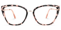 Guzman Cateye Tortoise Glasses0