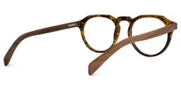 Allende Tortoise Brown Glasses2