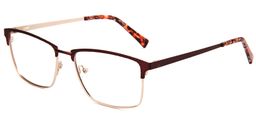 Ashplant Rectangle Red Glasses5
