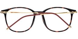 Greene Square Tortoise Glasses5