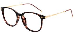 Greene Square Tortoise Glasses3