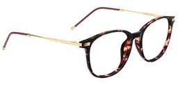 Greene Square Tortoise Glasses4
