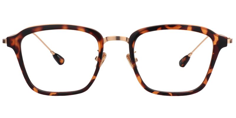 Virginia Square Tortoise Glasses