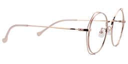 Darcy Round Gold Glasses4