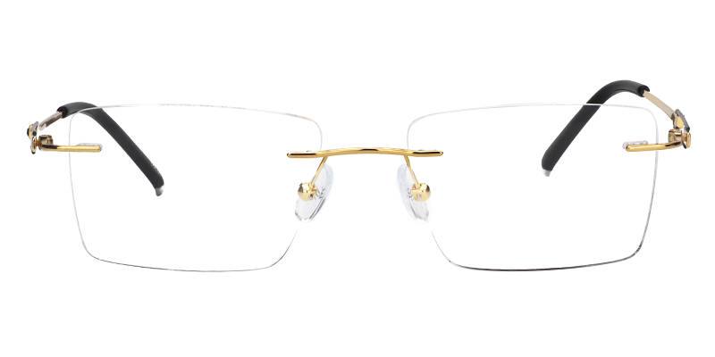 Audrey Rectangle Titanium Glasses 