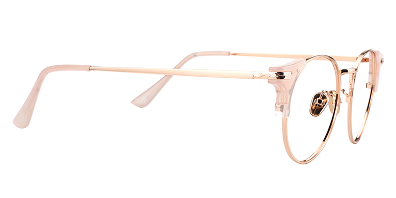 Buy Sandra Optical Glasses and EyeWear Frames on Zeelool4