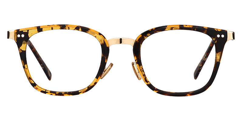 Sarah Rectangle Gold Tortoise Glasses