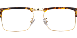 Teresa Browline Gold-Tortoise Glasses5