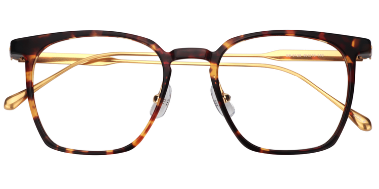Vincent Rectangle Gold-Tortoise Glasses