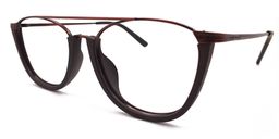 Alibi Aviator Brown-Pattern Eyeglasses2