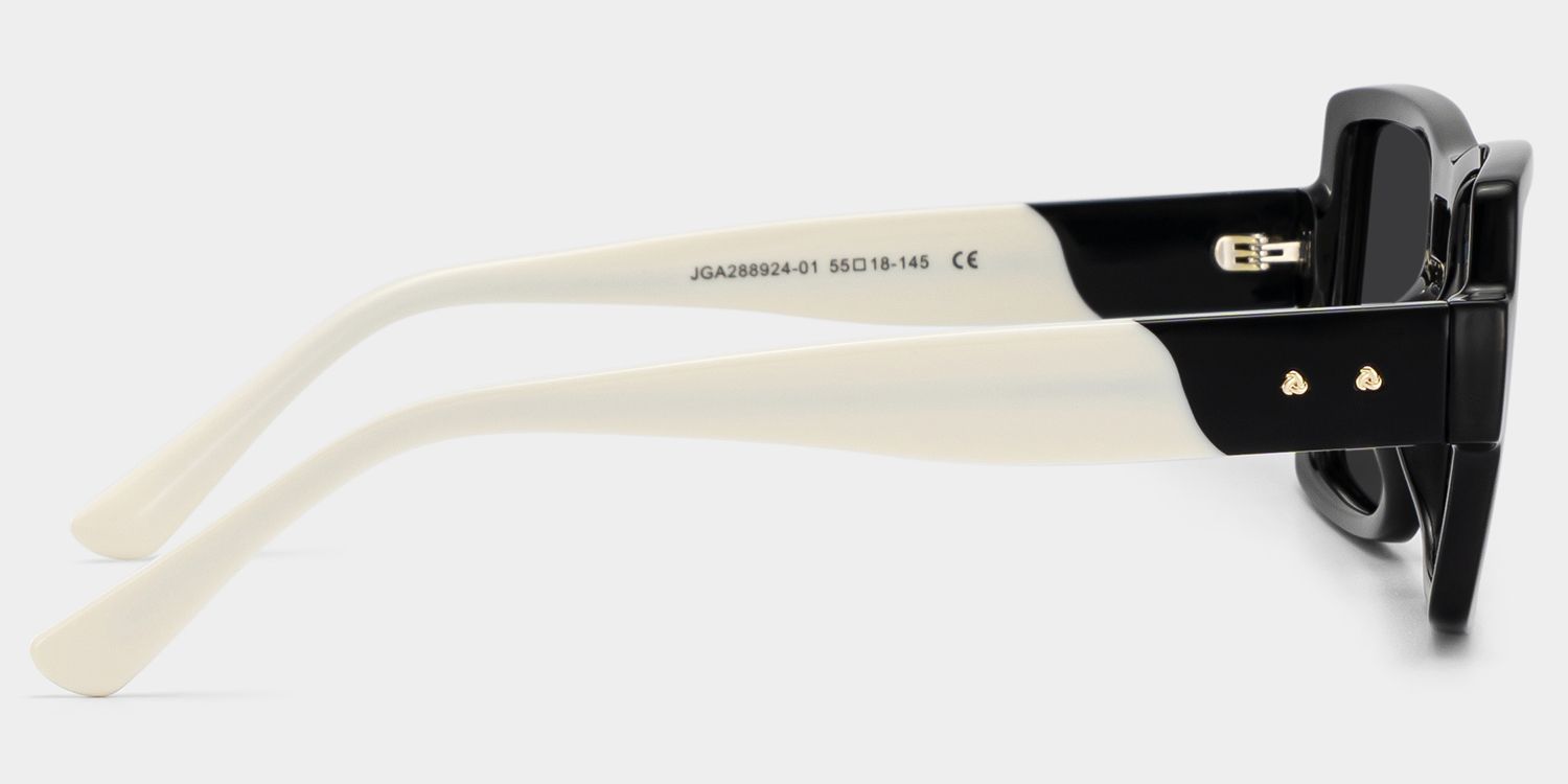Nora Aviator Sunglasses with Tr90 Black Frames | ZEELOOL CA3