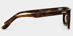 Patrick Tortoise Rectangle Sunglasses3