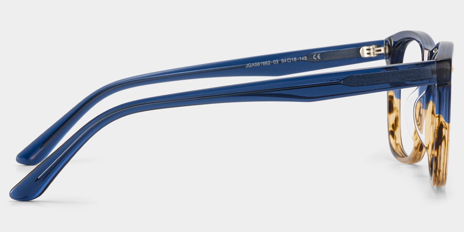 Atlas Two-tone Rectangle Acetate Frame Glasses for Men | ZEELOOL4